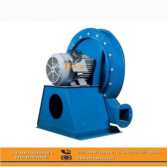 จำหน่ายโบลเออร์แรงอัดสูงต่อตรง จำหน่ายโบลเออร์แรงอัดสูงต่อตรง