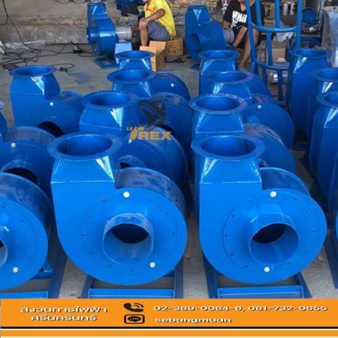 โบลเออร์แบคเวิร์ธ โบลเออร์แบคเวิร์ธ